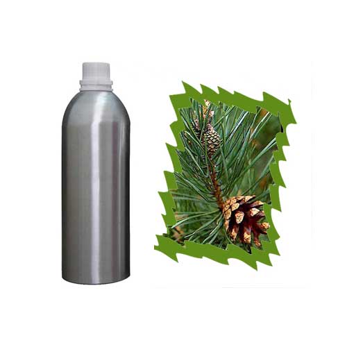 Scotch Pine Essential Oil